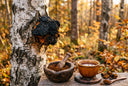 Chaga en morceaux sur une surface en bois avec une tasse de boisson adaptogène