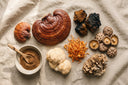 Assortiment de champignons médicinaux séchés sur toile de lin : reishi, chaga, crinière de lion, cordyceps, shiitaké et maitaké avec un bol de poudre