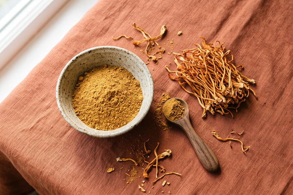 Cordyceps séché et poudre de cordyceps dans un bol en céramique sur un linge terracotta