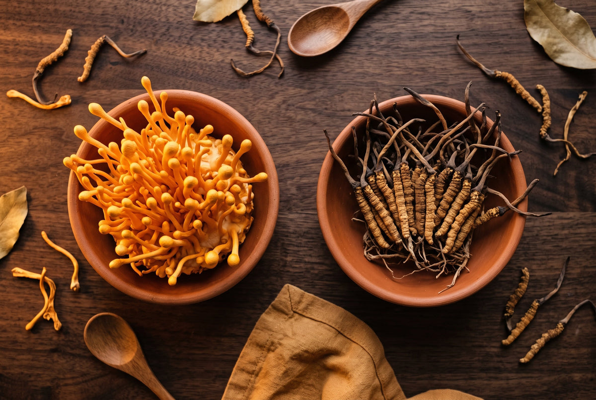 Cordyceps sinensis vs cordyceps militaris : différences, bienfaits et lequel choisir