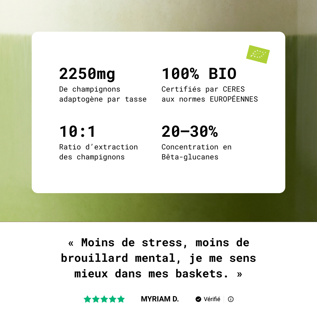 Matcha Mushee - Boisson aux champignons adaptogènes, vue de face
