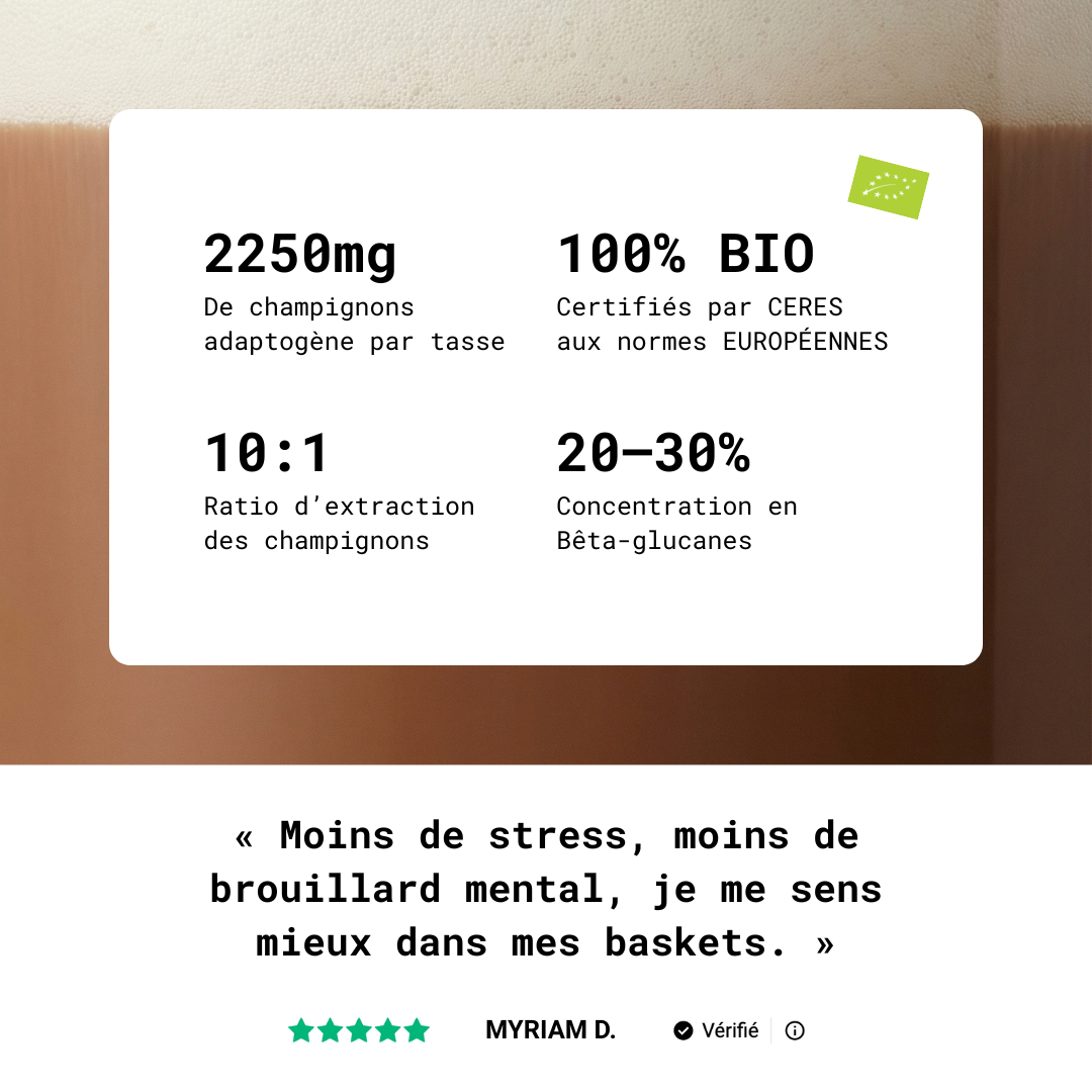 Cacao Mushee - Boisson aux champignons adaptogènes, vue de face