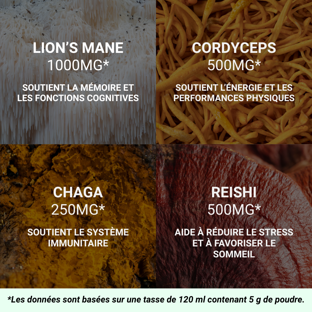 Champignons adaptogènes pour café Mushee - Lions Mane, Chaga, Reishi et Cordyceps