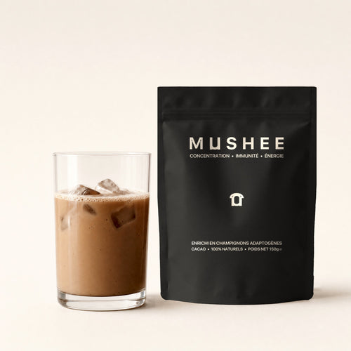 Mushee Cacao, cacao enrichi en champignons adaptogènes : paquet de 150 g et chocolat glacé
