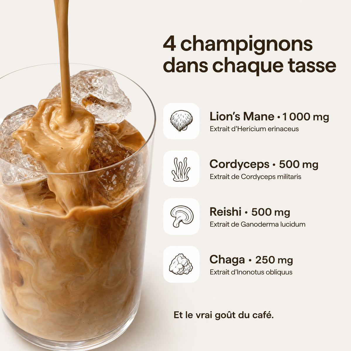 Les 4 champignons de chaque tasse de Mushee Café : Lion's Mane 1 000 mg, Cordyceps 500 mg, Reishi 500 mg et Chaga 250 mg