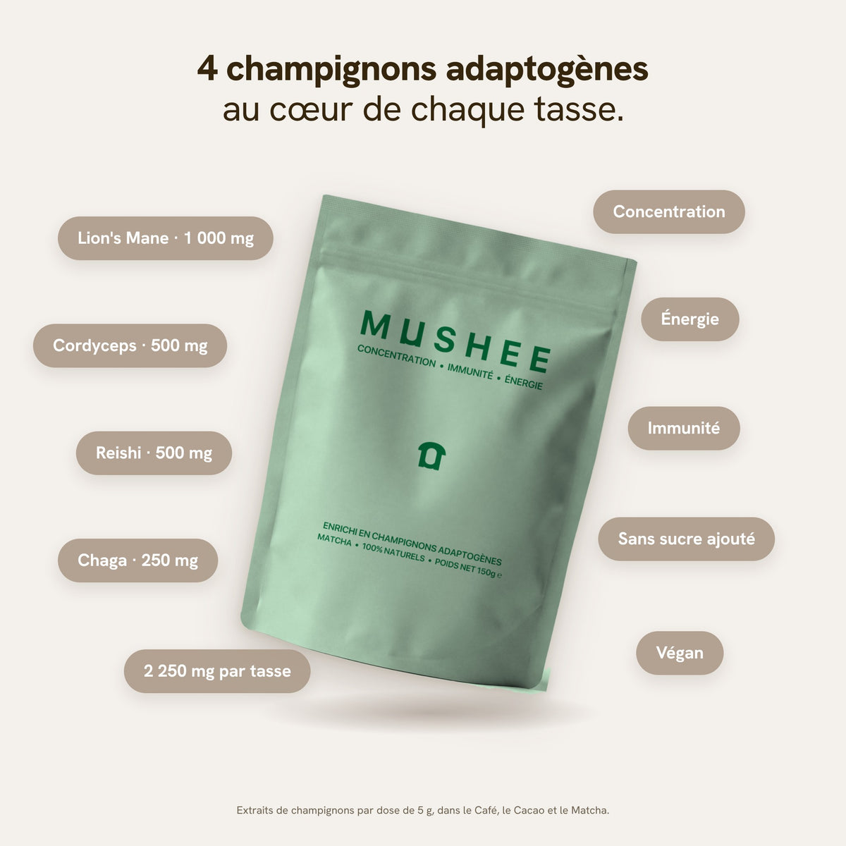 4 champignons adaptogènes dans chaque tasse Mushee : Lion's Mane, Cordyceps, Reishi et Chaga